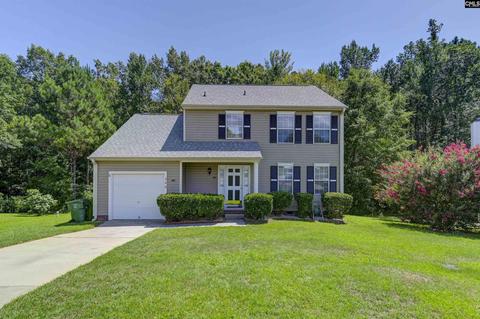 208 Skyhawk Rd, Irmo, SC 29063 photo 1