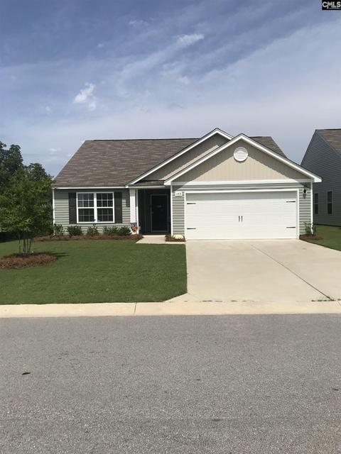 145 Common Reed Dr, Gilbert, SC 29054 photo 1