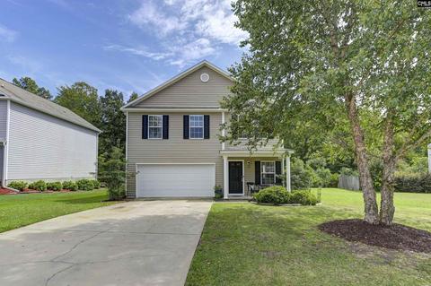 222 Eagle Pointe Dr, Chapin, SC 29036 photo 1