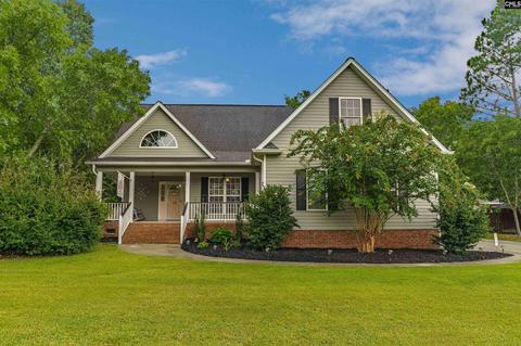 17 Falling Leaf Ln, Elgin, SC 29045 photo 1