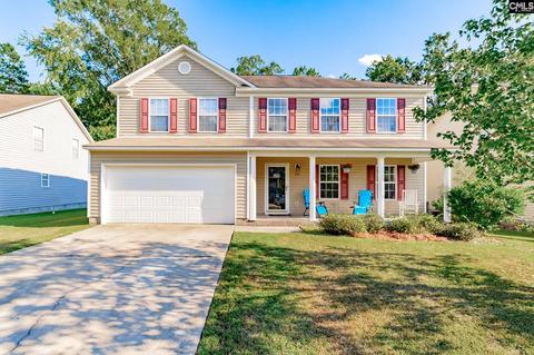 234 Eagle Pointe Dr, Chapin, SC 29036 photo 1