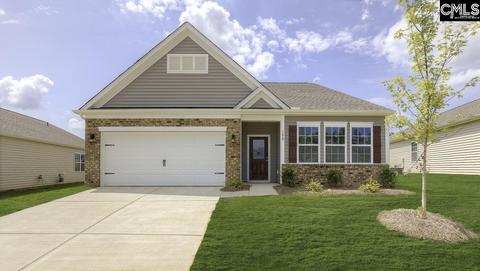 433 Pine Log Run, Chapin, SC 29036 photo 1