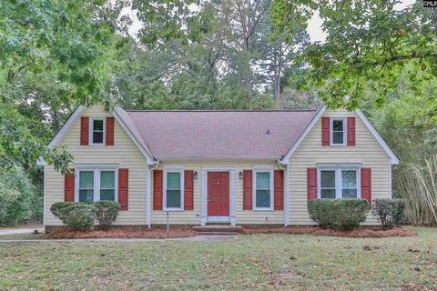 232 E Dean Rd, Irmo, SC 29063 photo 1