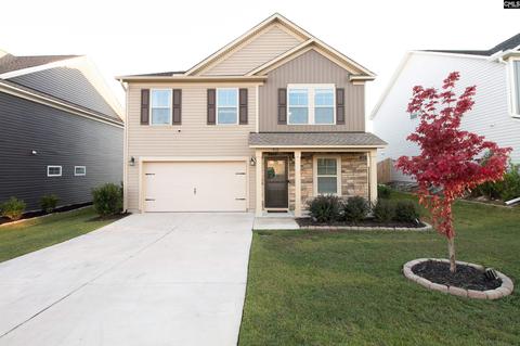 910 Native Rye Way, Lexington, SC 29073 photo 1