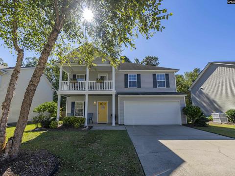 230 Eagle Point Dr, Chapin, SC 29036 photo 1