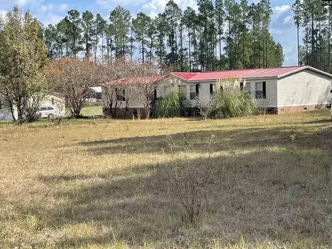 100 Ruby Mae Ln, Gaston, SC 29053 photo 1