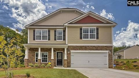 429 Pine Log Run, Chapin, SC 29036 photo 1