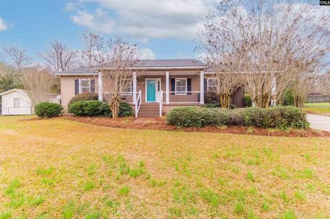 102 Owings Ave, Saluda, SC 29138 photo 1