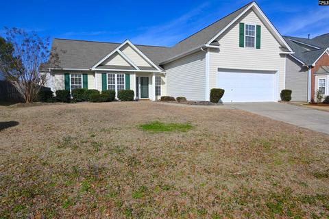 237 Loskin Ln, Lexington, SC 29073 photo 1