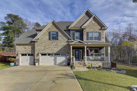 365 Springbrook Way, Chapin, SC 29036 photo 1