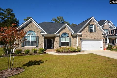 347 Springbrook Way, Chapin, SC 29036 photo 1
