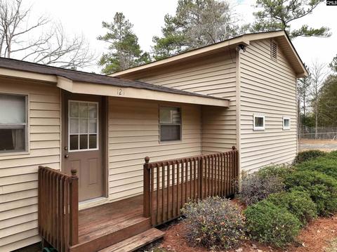 121 Point St, Chapin, SC 29036 photo 1