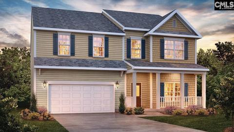 823 Trident Maple Ln, Chapin, SC 29036 photo 1