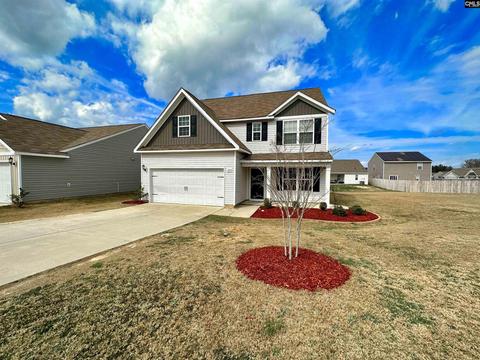 230 Common Reed Dr, Gilbert, SC 29054 photo 1