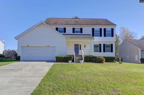203 Skyhawk Rd, Irmo, SC 29063 photo 1