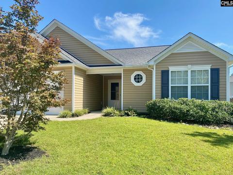 228 Glen Arbor Loop, Irmo, SC 29063 photo 1