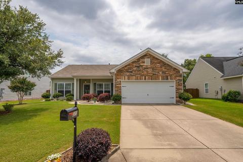 223 Eagleview Dr, Lexington, SC 29073 photo 1