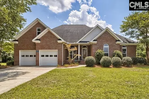 313 Whiteplains Pl, Gilbert, SC 29054 photo 1