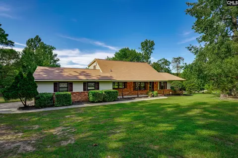 234 Old Forge Rd, Chapin, SC 29036 photo 1