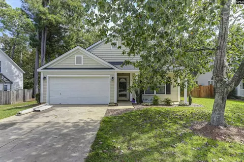 192 Eagle Pointe Dr, Chapin, SC 29036 photo 1