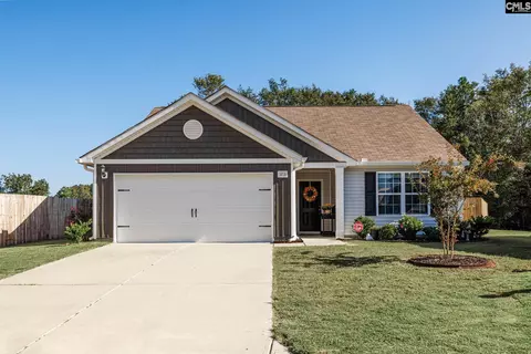 1211 Balloon Vine Ct, Gilbert, SC 29054 photo 1