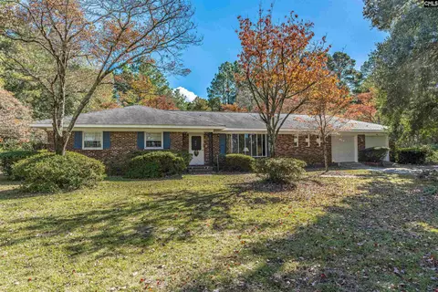 368 Wire Rd, Gilbert, SC 29054 photo 1