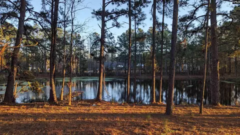 3283 Longtown Rd, Ridgeway, SC 29130 photo 1