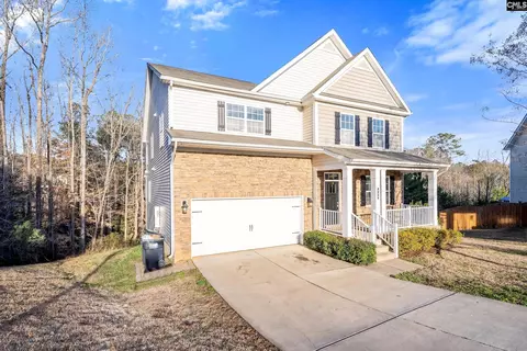 406 Eagle Claw Ct, Chapin, SC 29036 photo 1