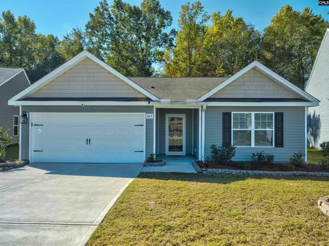 347 Common Reed Dr, Gilbert, SC 29054 photo 1