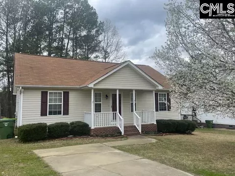 413 Beech Branch Dr, Irmo, SC 29063 photo 1