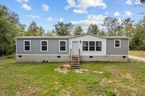 436 Sandpit Rd, Leesville, SC 29070 photo 1