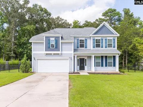 113 Eunice Ct, Chapin, SC 29036 photo 1