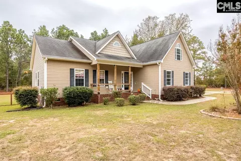 239 Austin Mccartha Dr, Gilbert, SC 29054 photo 1