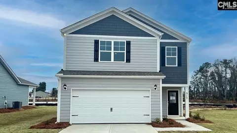 317 Babcock Way, Gilbert, SC 29054 photo 1