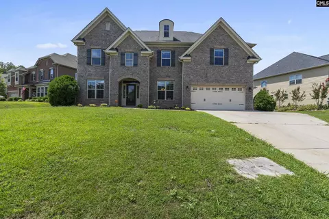 20 Mapleline Ct, Chapin, SC 29036 photo 1