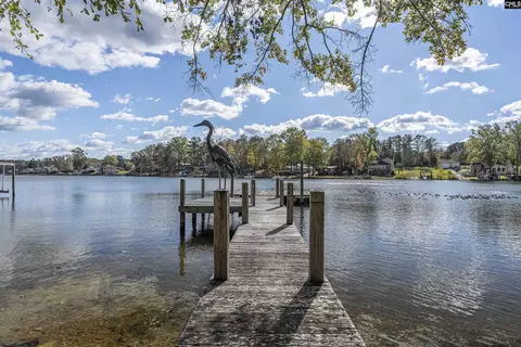 464 Woods Point Rd, Gilbert, SC 29054 photo 1