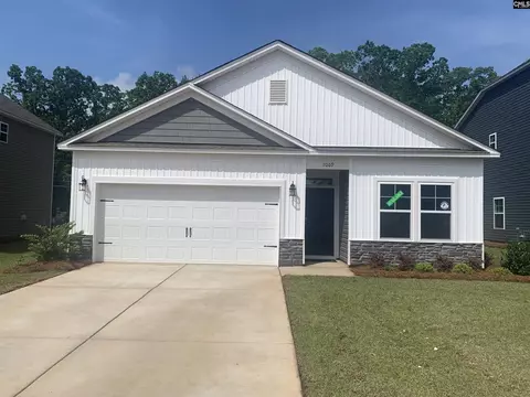 1069 Flat Coat Ln, Chapin, SC 29036 photo 1