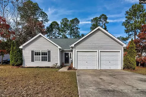 137 Braelin Ct, Gaston, SC 29053 photo 1