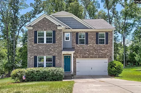 306 Dolly Horn Ln, Chapin, SC 29036