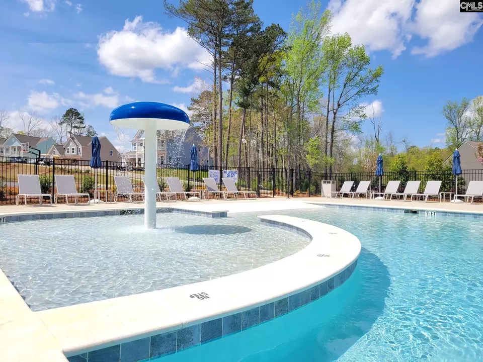 Exterior - 667 Carters Grove Ln, Blythewood, SC 29016 photo 10 of 16