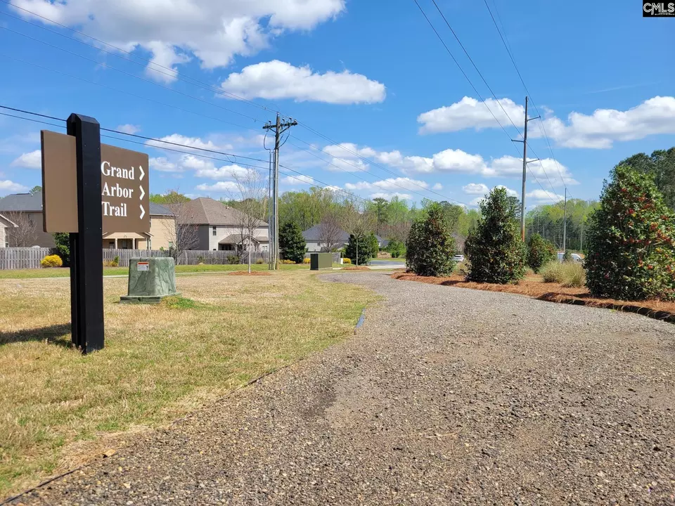 Other - 667 Carters Grove Ln, Blythewood, SC 29016 photo 19 of 19