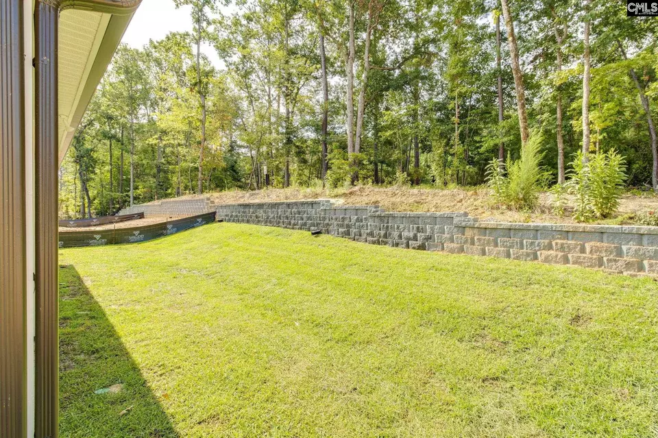 Exterior - 667 Carters Grove Ln, Blythewood, SC 29016 photo 5 of 16