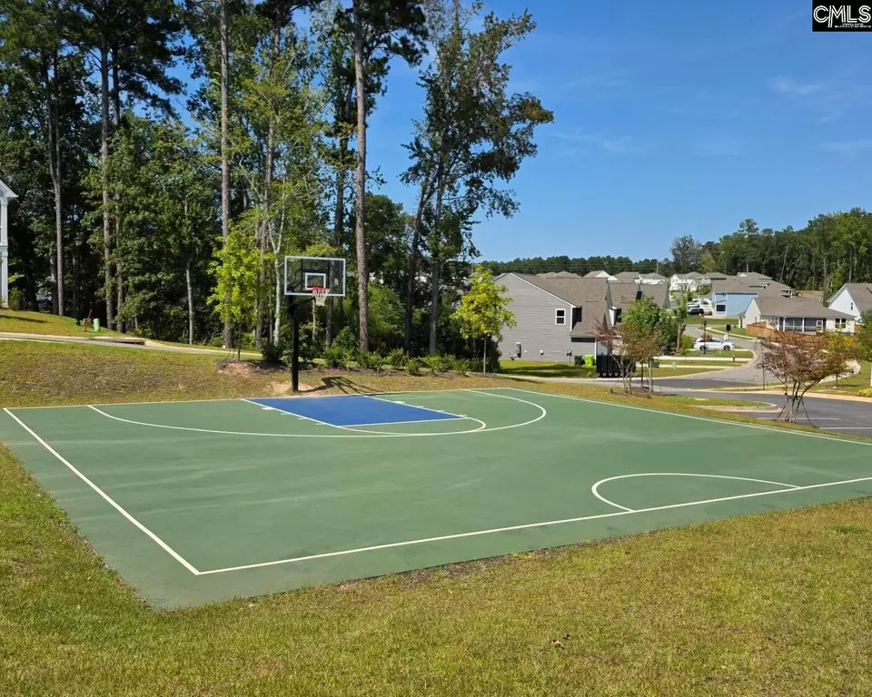 Other - 667 Carters Grove Ln, Blythewood, SC 29016 photo 18 of 19