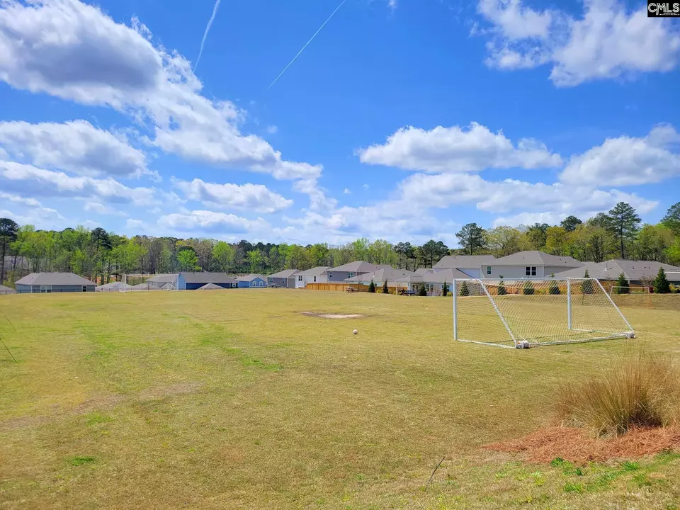 Exterior - 667 Carters Grove Ln, Blythewood, SC 29016 photo 16 of 16