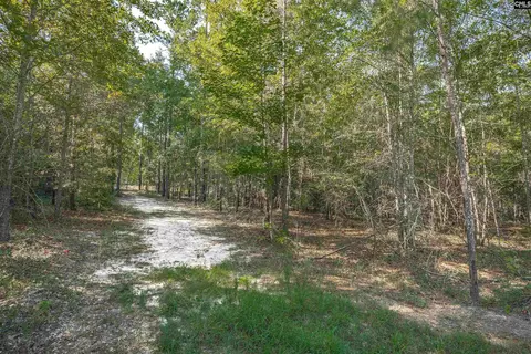 Exterior - 1467 Springvale Rd, Lugoff, SC 29078 photo 15 of 19