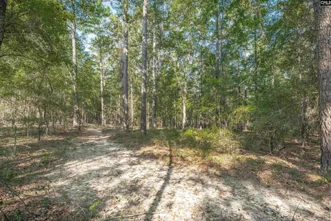 Exterior - 1467 Springvale Rd, Lugoff, SC 29078 photo 16 of 19