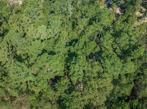 View/Area - 1467 Springvale Rd, Lugoff, SC 29078 photo 15 of 17