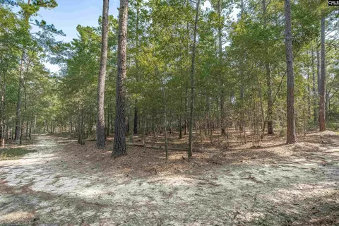 Exterior - 1467 Springvale Rd, Lugoff, SC 29078 photo 17 of 19