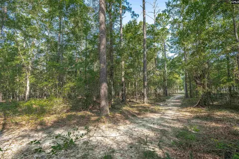 Other - 1467 Springvale Rd, Lugoff, SC 29078 photo 9 of 9