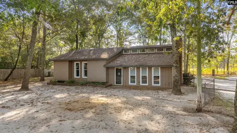 1069 Fallaw Rd, Gaston, SC 29053 photo 1